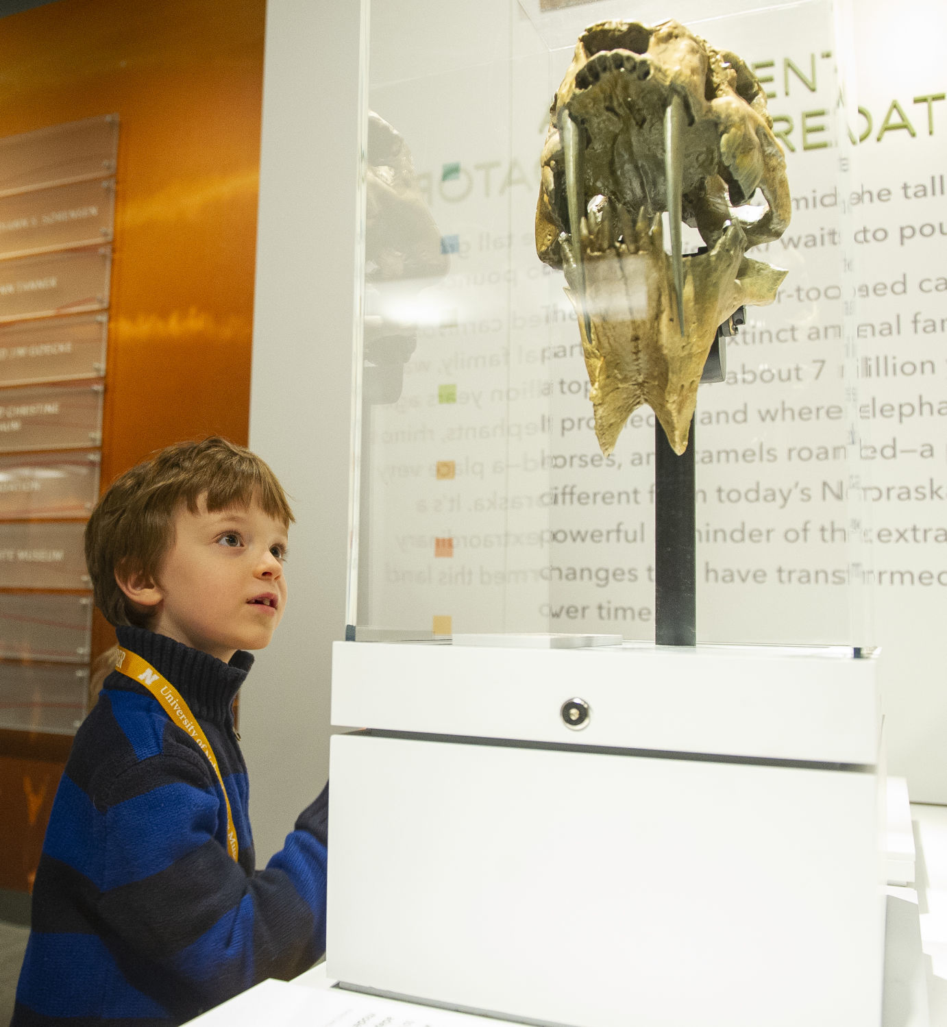 Morrill Hall 2.16